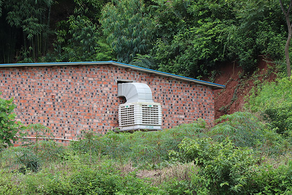 養(yǎng)豬場冷風(fēng)機(jī)廠家