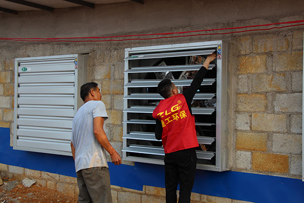 養(yǎng)豬場降溫水簾設(shè)備案例