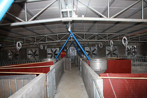 養(yǎng)豬場(chǎng)降溫設(shè)備