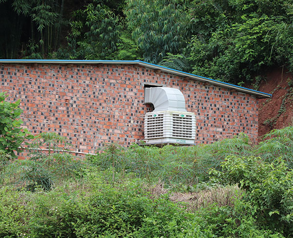 豬場(chǎng)水簾風(fēng)機(jī)降溫廠家