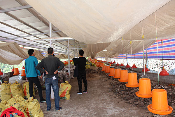 ZLG理工討論養(yǎng)雞場(chǎng)負(fù)壓風(fēng)機(jī)水簾墻的設(shè)計(jì)方案