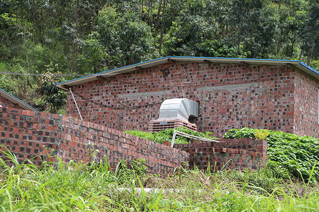 L(fng)C(j)r(ji)ͣʹÏVmB(yng)ֳ(chng)ʹ